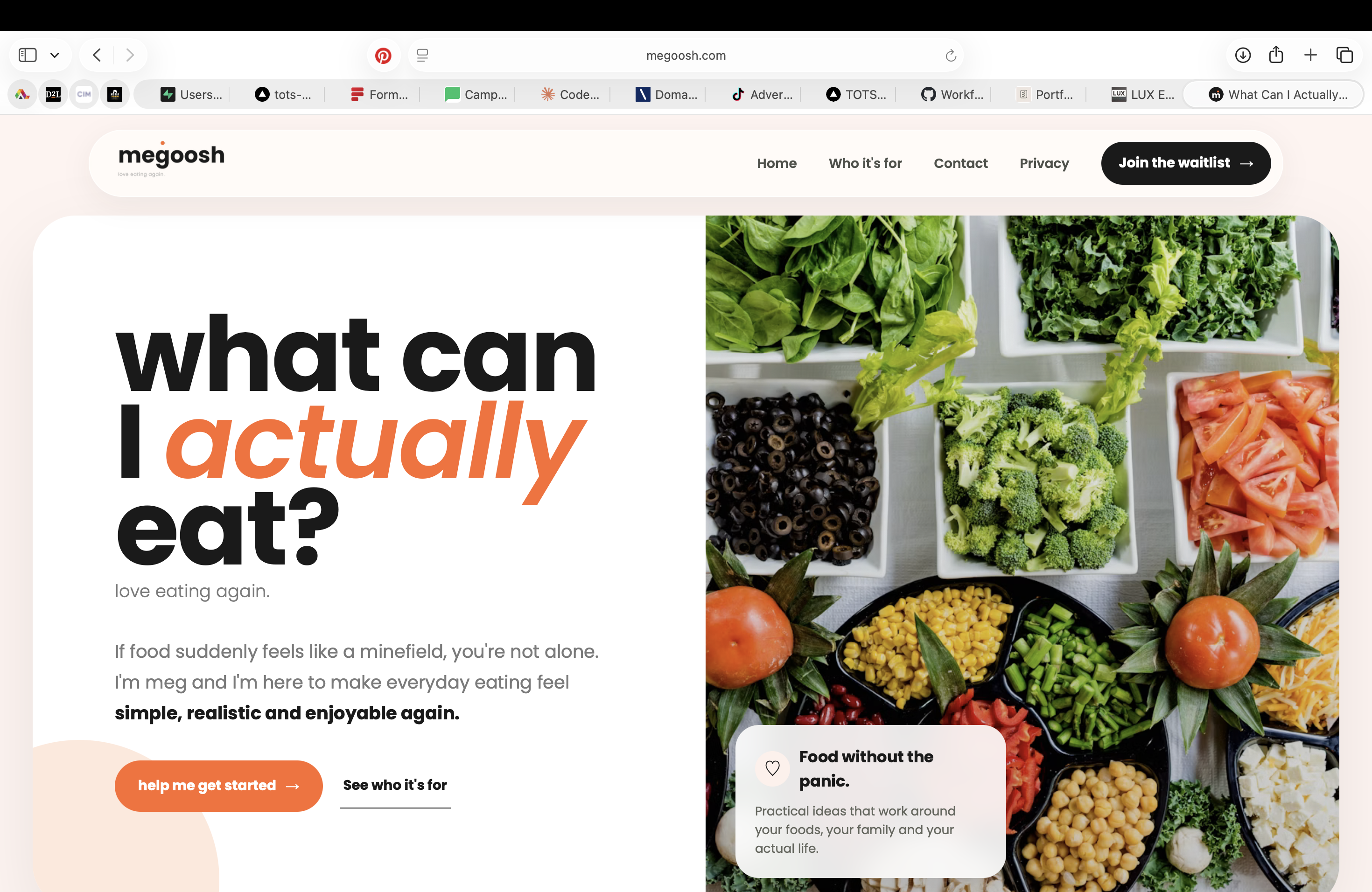 Megoosh website designed by The Organised Types
