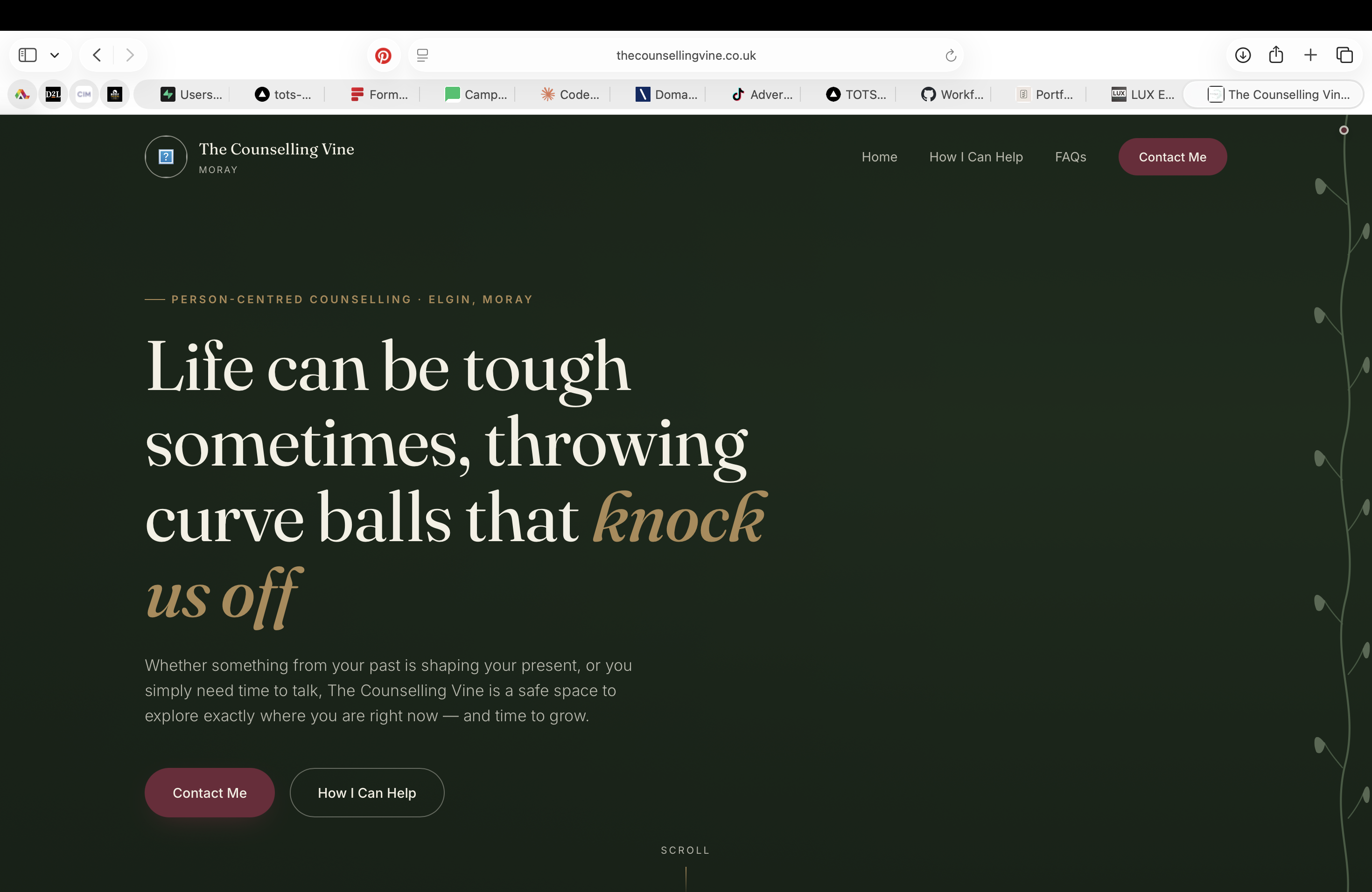 The Counselling Vine website designed by The Organised Types